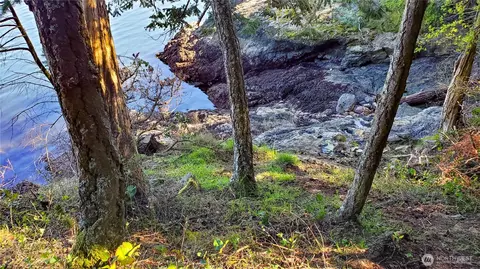 View/Area - 79 Judd Cove Rd, Eastsound, WA 98245 photo 5 of 7