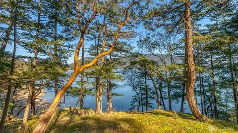 View/Area - 79 Judd Cove Rd, Eastsound, WA 98245 photo 6 of 7