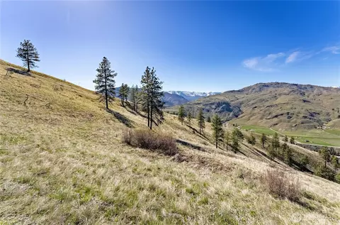 78 Lariat Loop, Methow, WA 98834 photo 20