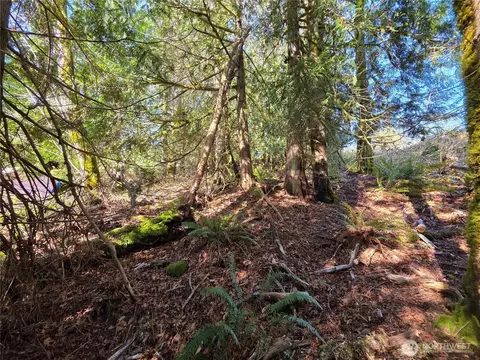 0 Cedar Pl, Brinnon, WA 98320 photo 7