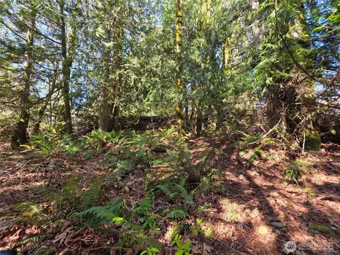 0 Cedar Pl, Brinnon, WA 98320 photo 5