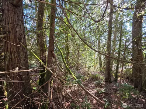 0 Cedar Pl, Brinnon, WA 98320 photo 3