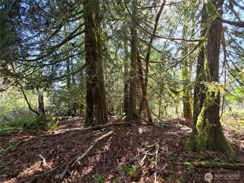 0 Cedar Pl, Brinnon, WA 98320 photo 4
