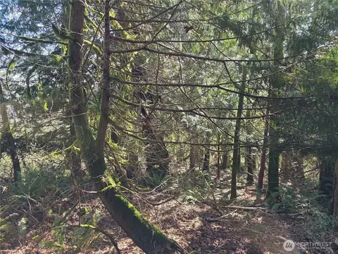 0 Cedar Pl, Brinnon, WA 98320 photo 6