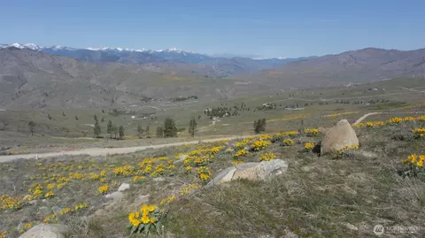31 Cowboy Rd, Methow, WA 98834