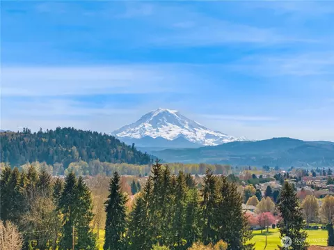 View/Area - 14713 144th Avenue Ct E, Orting, WA 98360 photo 5 of 6