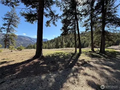 0 Coogan Creek Rd, Wauconda, WA 98859