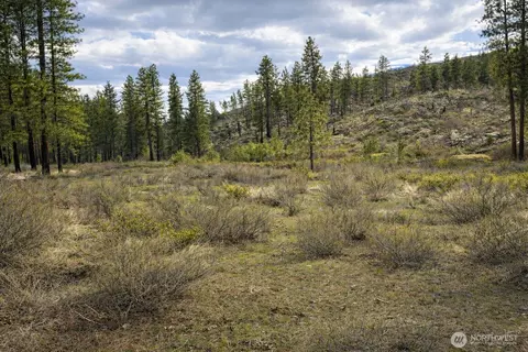 1 N Cook Mt Rd, Okanogan, WA 98840