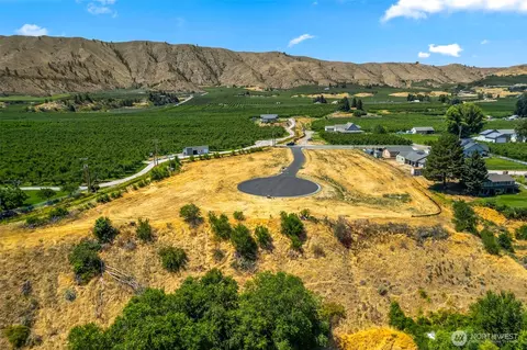 37 Penstemon Ln, Monitor, WA 98836
