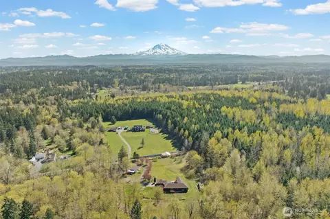 29512 28th Ave E, Roy, WA 98580 photo 38
