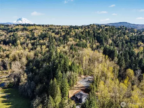 View/Area - 17823 214th Avenue Ct E, Orting, WA 98360 photo 2 of 2