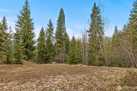 33 Lakeside Ct, Ronald, WA 98940