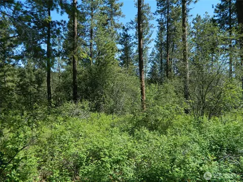 111 Tbd Murphy Ranch Rd, Tonasket, WA 98855