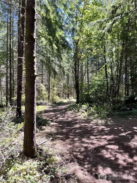 Other - 217 Bay Rd, Winlock, WA 98596 photo 11 of 15
