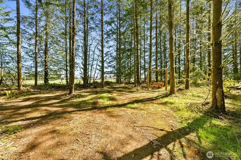 Exterior - 217 Bay Rd, Winlock, WA 98596 photo 7 of 8