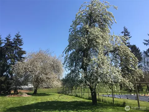 Exterior - 217 Bay Rd, Winlock, WA 98596 photo 8 of 8