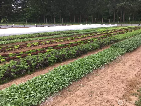 Other - 217 Bay Rd, Winlock, WA 98596 photo 13 of 15