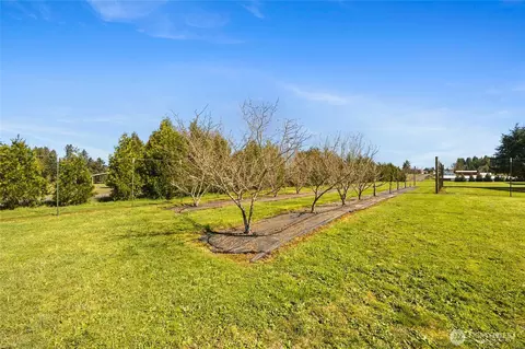 Other - 217 Bay Rd, Winlock, WA 98596 photo 7 of 15
