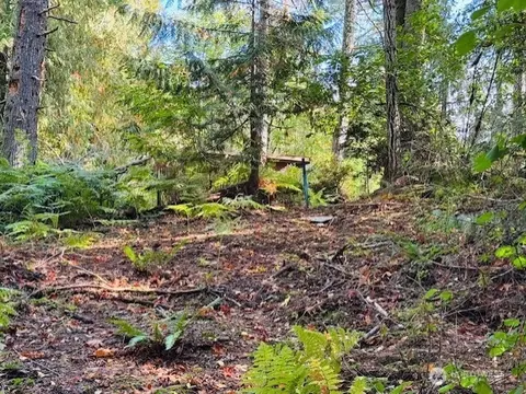 0 E Agate Rd, Shelton, WA 98584