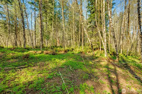 0 Buncombe Hollow Rd NE, Woodland, WA 98674