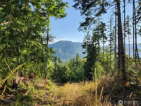 0 Rocky Brook Rd #LOT I, Brinnon, WA 98320