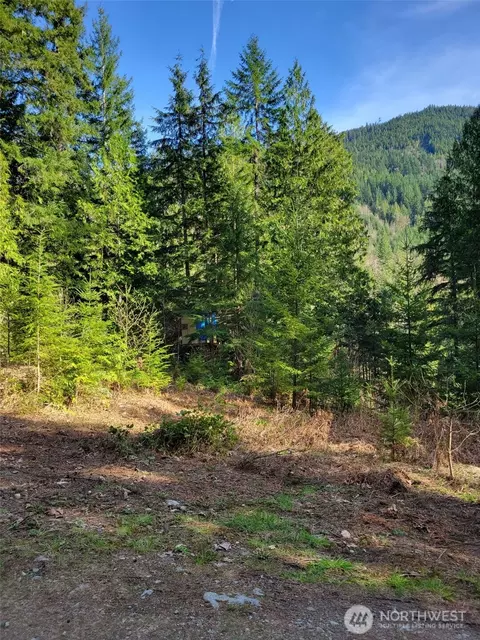 0 Acorn Ln, Marblemount, WA 98267