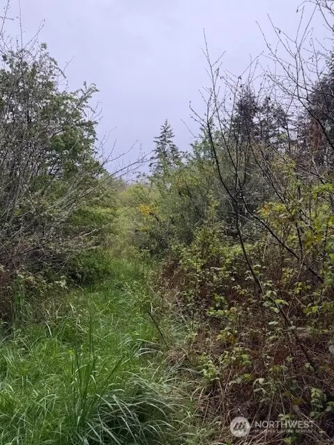 3 Nka Katherine St, Port Townsend, WA 98368