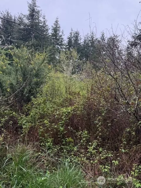 1 Nka Katherine St, Port Townsend, WA 98368