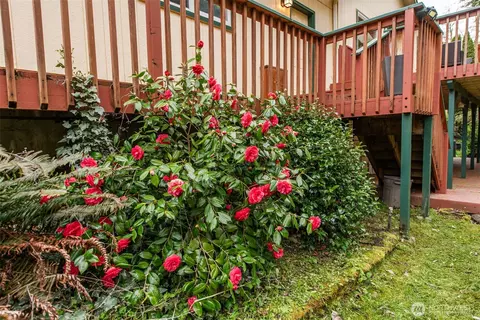 Exterior - 315 Dungeness Mdws, Sequim, WA 98382 photo 13 of 14
