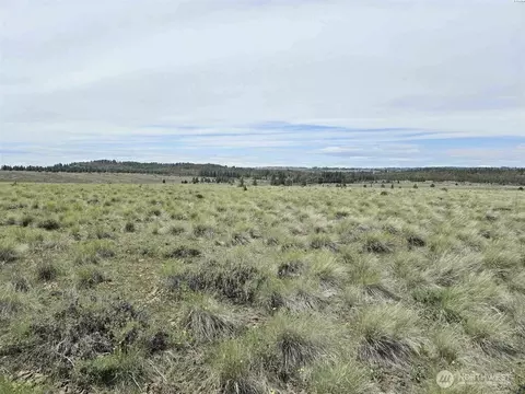 54 Duree Rd, Bickleton, WA 99322 photo 13