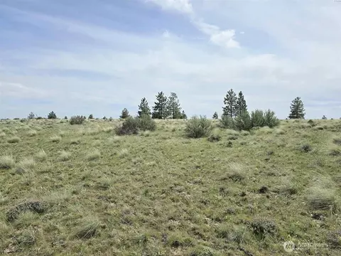 54 Duree Rd, Bickleton, WA 99322 photo 15