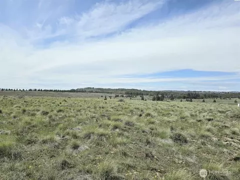 54 Duree Rd, Bickleton, WA 99322 photo 7