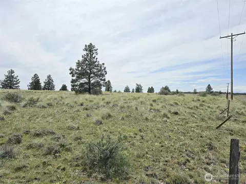 54 Duree Rd, Bickleton, WA 99322 photo 16