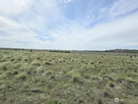 54 Duree Rd, Bickleton, WA 99322 photo 8
