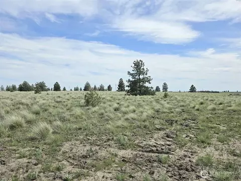 54 Duree Rd, Bickleton, WA 99322 photo 5
