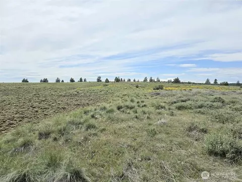 141 Middle Rd, Bickleton, WA 99322 photo 12