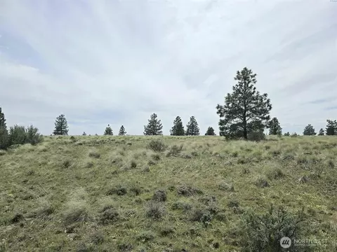 141 Middle Rd, Bickleton, WA 99322 photo 6
