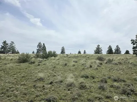 141 Middle Rd, Bickleton, WA 99322 photo 7