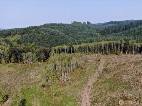 0 Cedar Creek Rd, Oakville, WA 98568