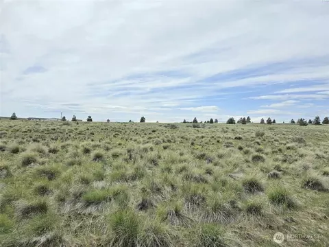 149 Middle Rd, Bickleton, WA 99322 photo 6