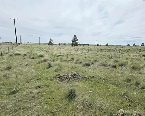 149 Middle Rd, Bickleton, WA 99322 photo 5