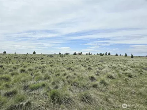 149 Middle Rd, Bickleton, WA 99322 photo 7