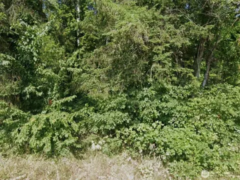 31 NE Burt Ct, Belfair, WA 98528