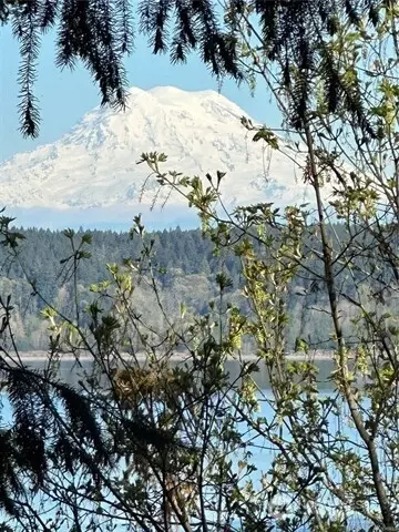 10911 Seaview Dr, Anderson Island, WA 98303