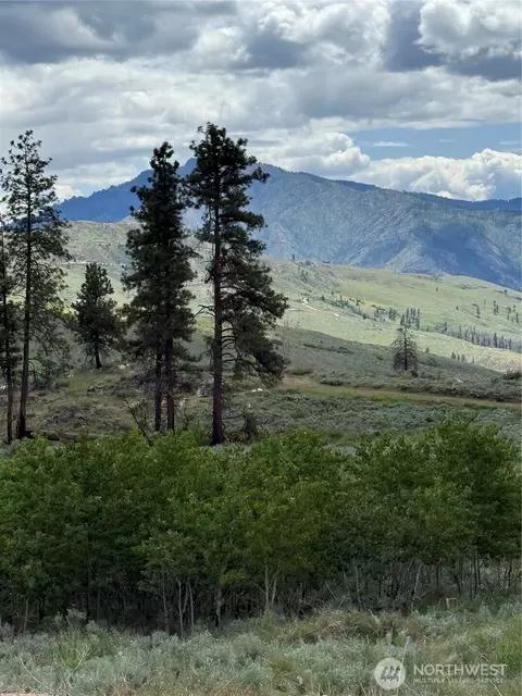 3 Ruttin Ridge Rd, Methow, WA 98834