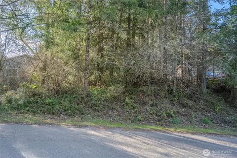 22025 Blue Water Dr SE, Yelm, WA 98597
