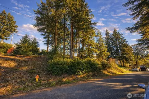 90 E Lakeview Dr, Shelton, WA 98546 photo 3
