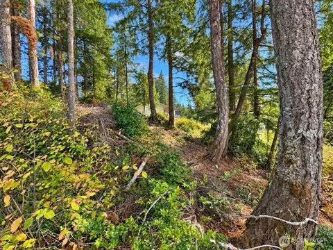 90 E Lakeview Dr, Shelton, WA 98546 photo 4