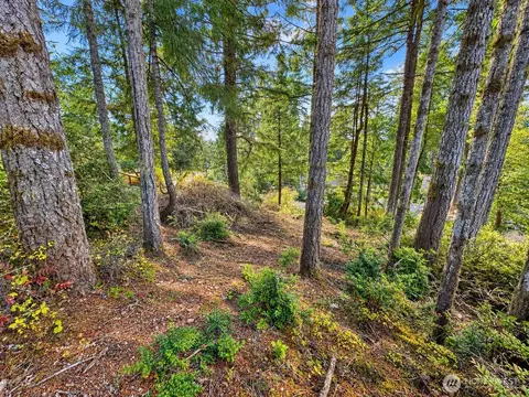 90 E Lakeview Dr, Shelton, WA 98546 photo 6