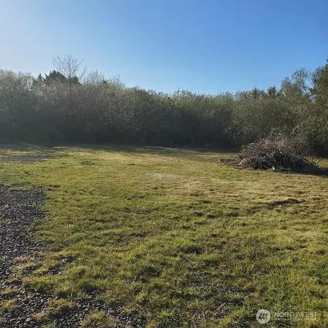 13 Chickamin Ave, Ocean Shores, WA 98569